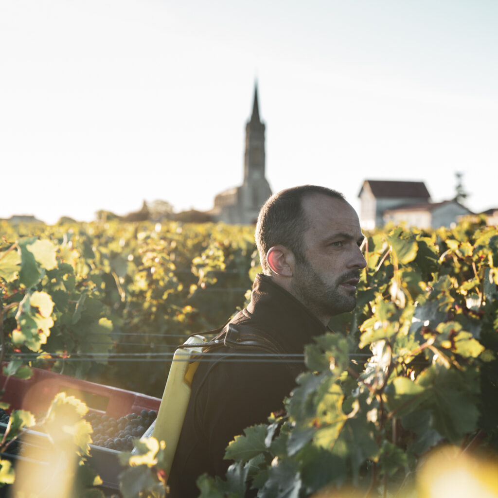 Vignes Chateau Clinet