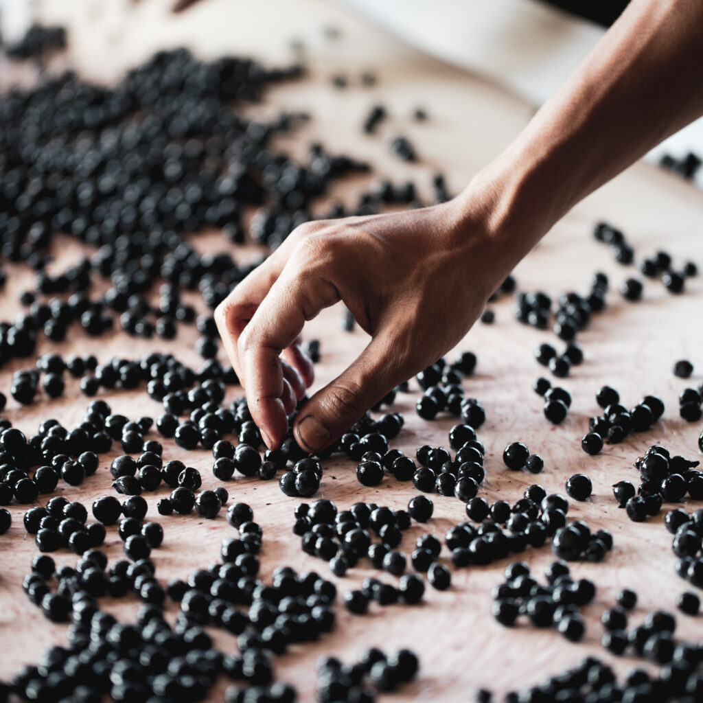 Trie raisin chateau clinet