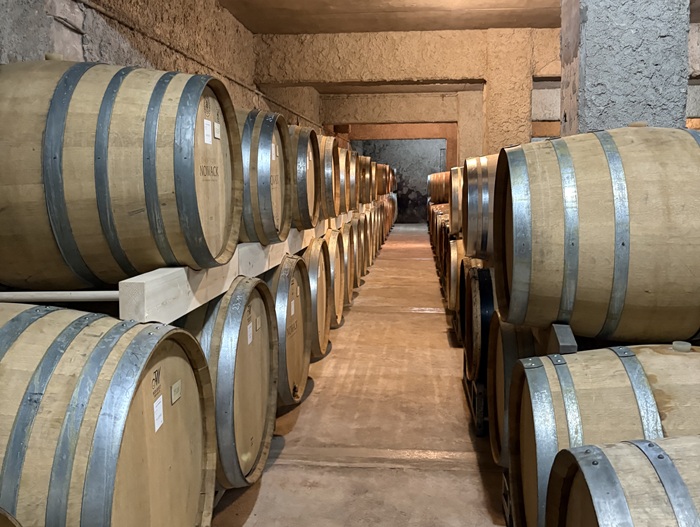 Nowack champagne cave
