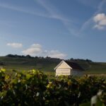 Louis Roederer à la conquête de la Bourgogne