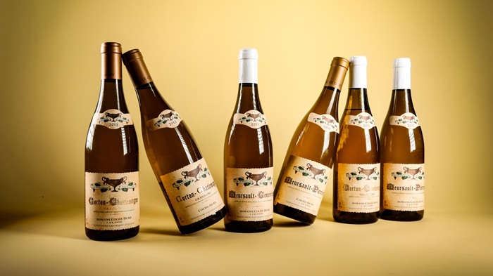 bourgogne bordeaux enchères