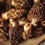 Quel vin boire avec des morilles ?