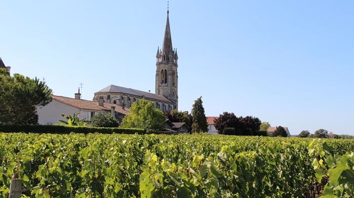 saint-emilion 2025 dégustation