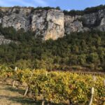 Domaine Bartschi : une étoile montante dans le Bugey