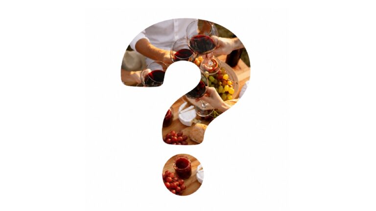 Lire la suite à propos de l’article Le vin est-il amené à disparaître ?