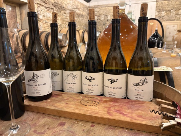 dégustation Anjou Pierre Ménard