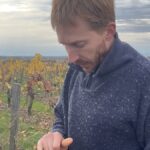 Pierre Ménard : un vigneron talentueux et discret