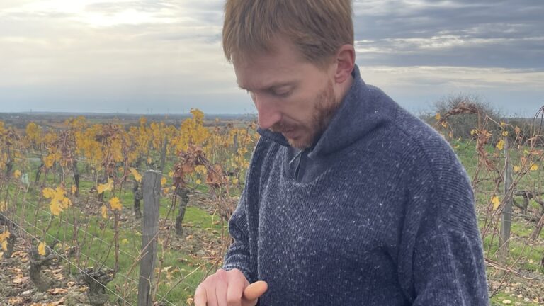 Lire la suite à propos de l’article Pierre Ménard : un vigneron talentueux et discret