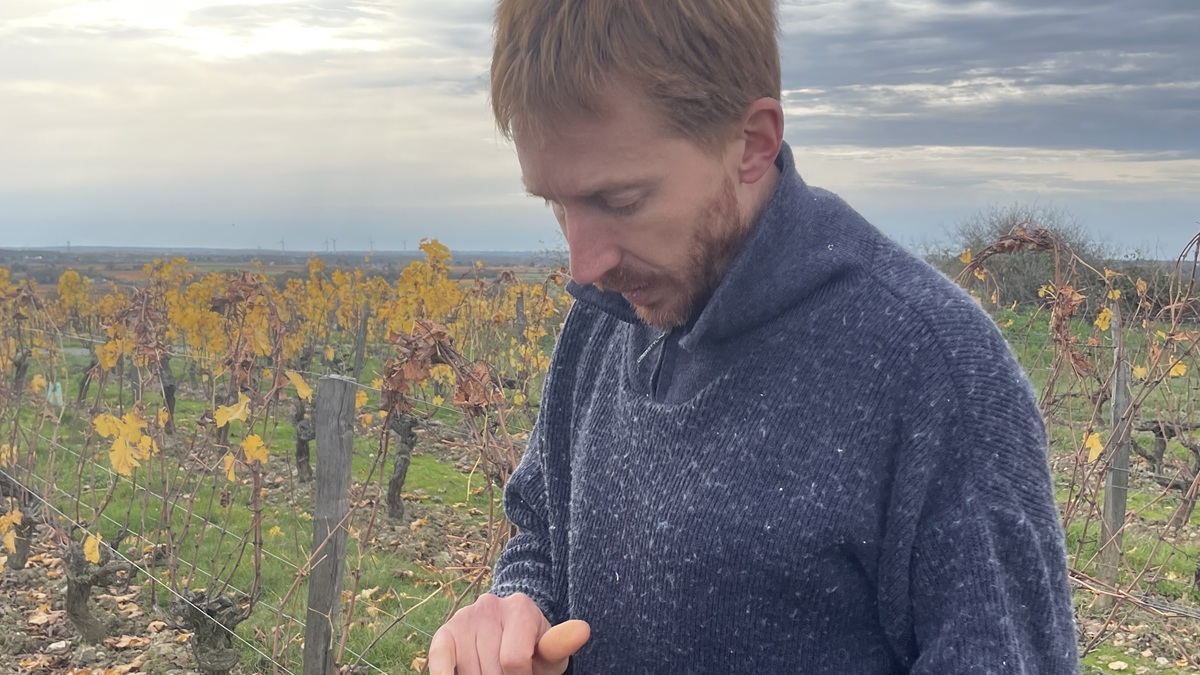 Lire la suite à propos de l’article Pierre Ménard : un vigneron talentueux et discret
