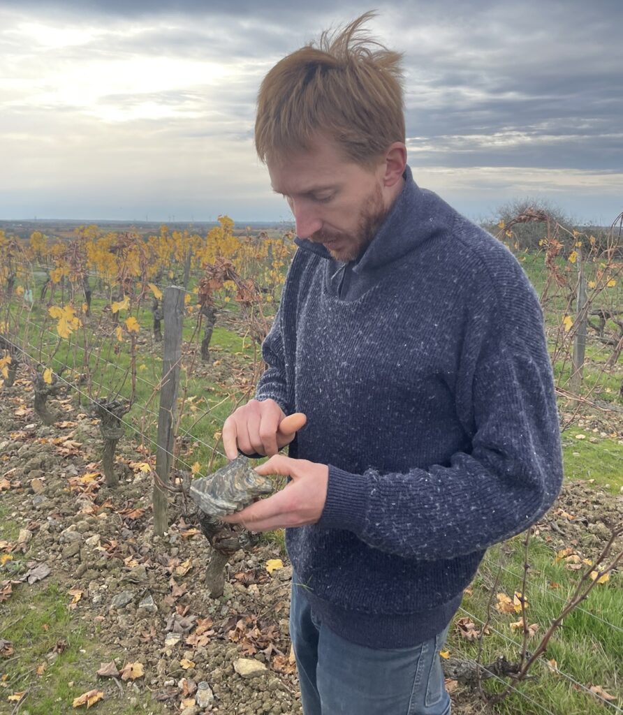 Pierre Ménard dans ses vignes en Anjou
