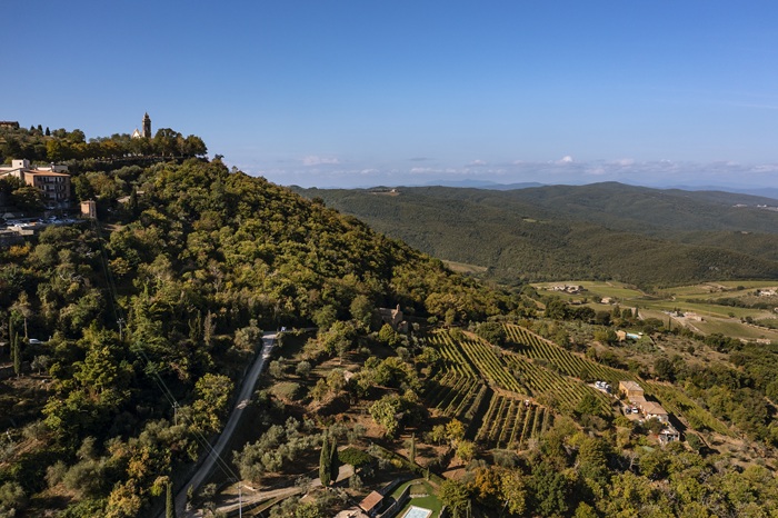 Marroneto vignes drone