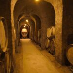 Champagne Legrand-Latour : quand la vigne plonge ses racines dans 45 millions d&rsquo;années d&rsquo;histoire