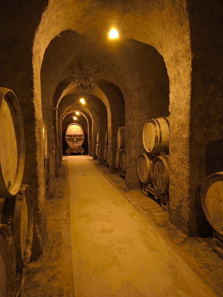 Lire la suite à propos de l’article Champagne Legrand-Latour : quand la vigne plonge ses racines dans 45 millions d&rsquo;années d&rsquo;histoire