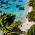 Distillerie Montebello : un flambeau du rhum agricole guadeloupéen depuis 1930