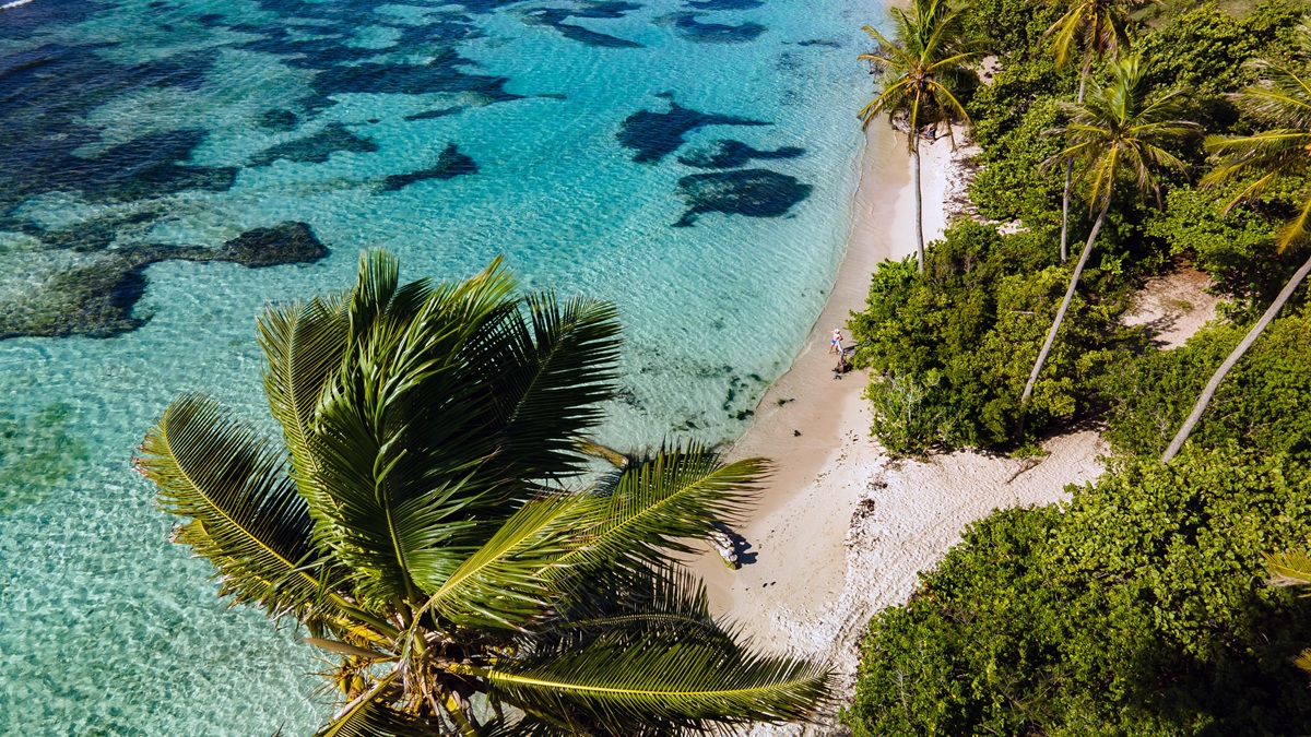 Lire la suite à propos de l’article Distillerie Montebello : un flambeau du rhum agricole guadeloupéen depuis 1930