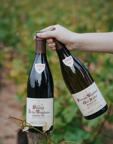 Domaine Dubreuil Fontaine, Pernand Vergelesses, Clos Berthet Monopole, Île des Vergelesses