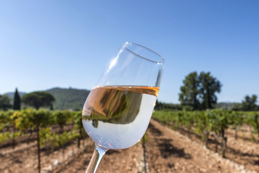 Verre de vin rosé, vignes