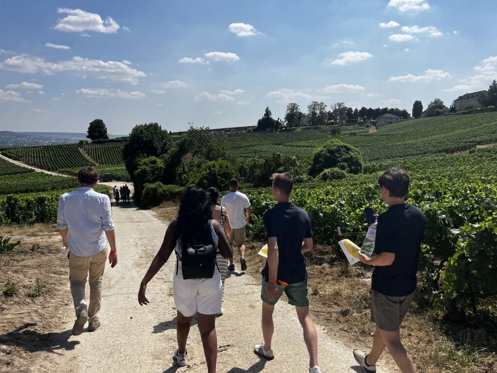 Chasse aux trésors Hautvillers, iDealwine