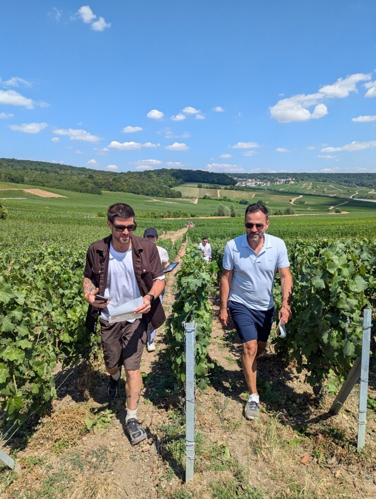 Vignes Hautvillers, iDealwine