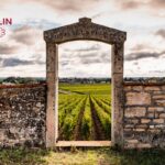 Les grappes du Guide Michelin : une première sélection de domaines bourguignons