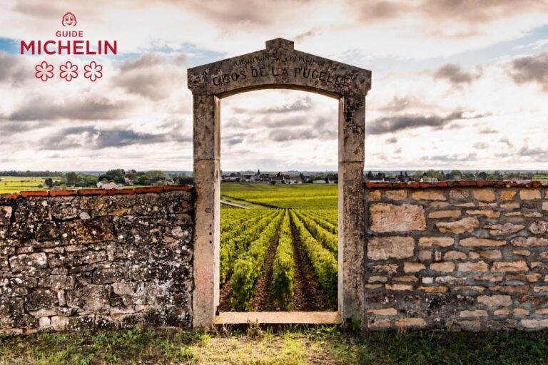 Lire la suite à propos de l’article Les grappes du Guide Michelin : une première sélection de domaines bourguignons