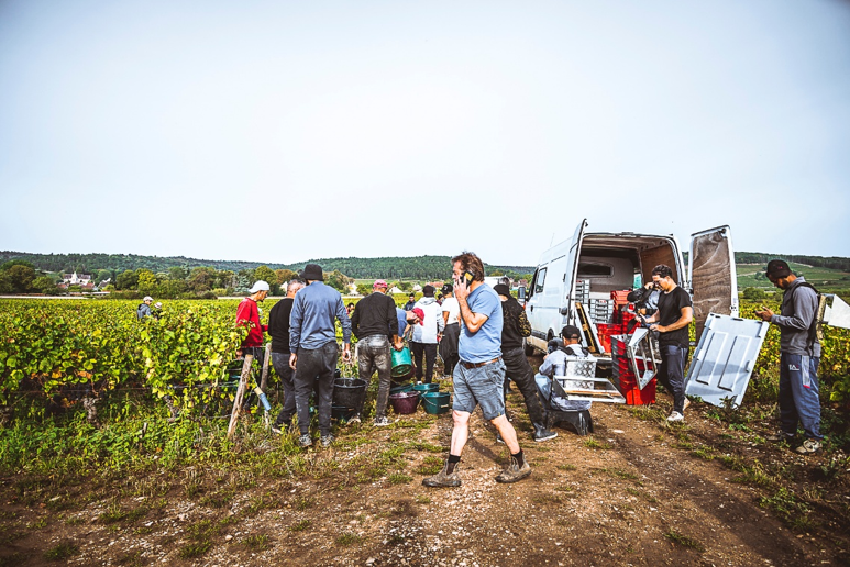 Vendanges Jérôme Galeyrand, Gevrey Chambertin
