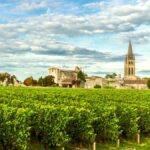 Primeurs 2025 | Les plus grands vins de garde