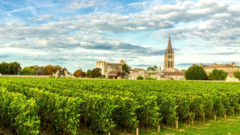 Lire la suite à propos de l’article Primeurs 2025 | Les plus grands vins de garde