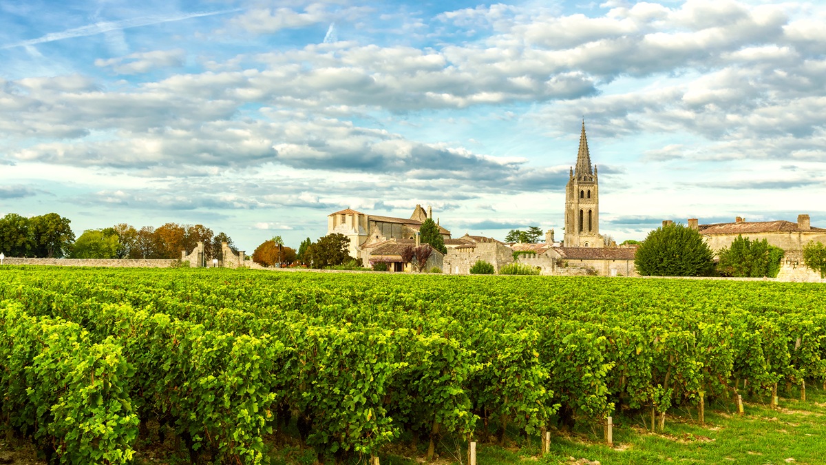Lire la suite à propos de l’article Primeurs 2025 | Les plus grands vins de garde