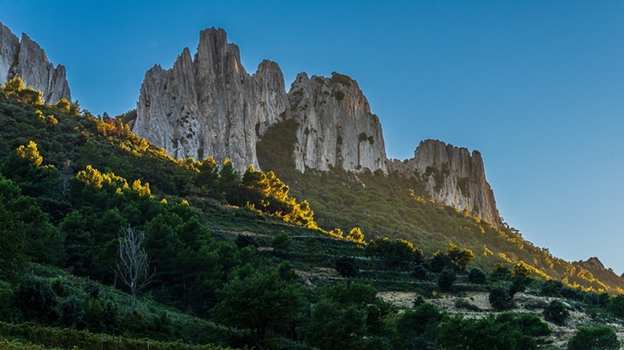 gigondas dentelles de montmirail