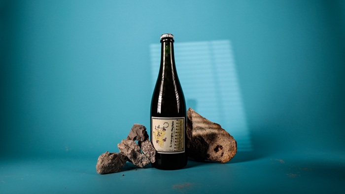 vins pierre beauger